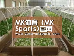 环境展示五