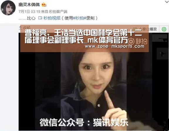 mk体育官方