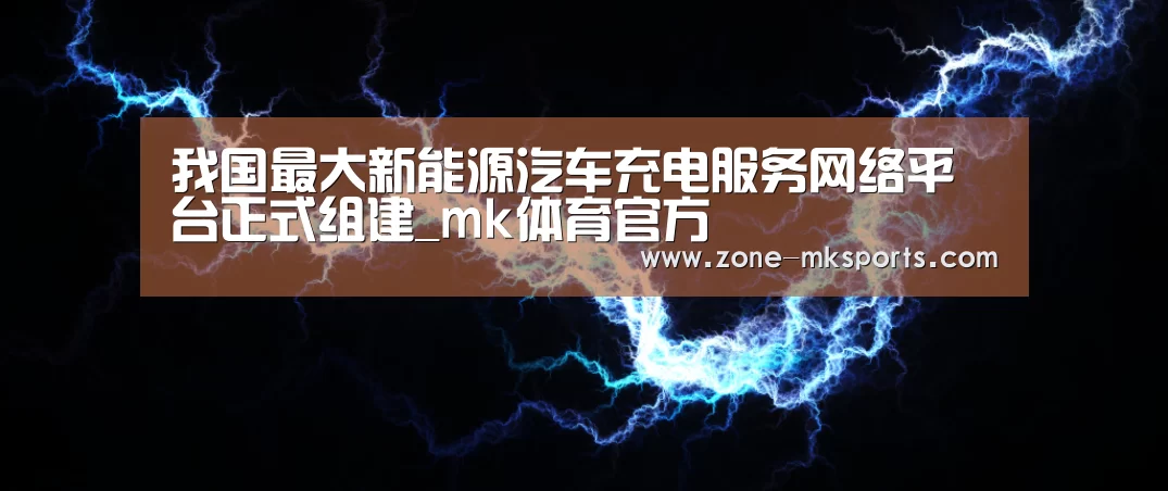 我国最大新能源汽车充电服务网络平台正式组建_mk体育官方(图1) mk体育官方
