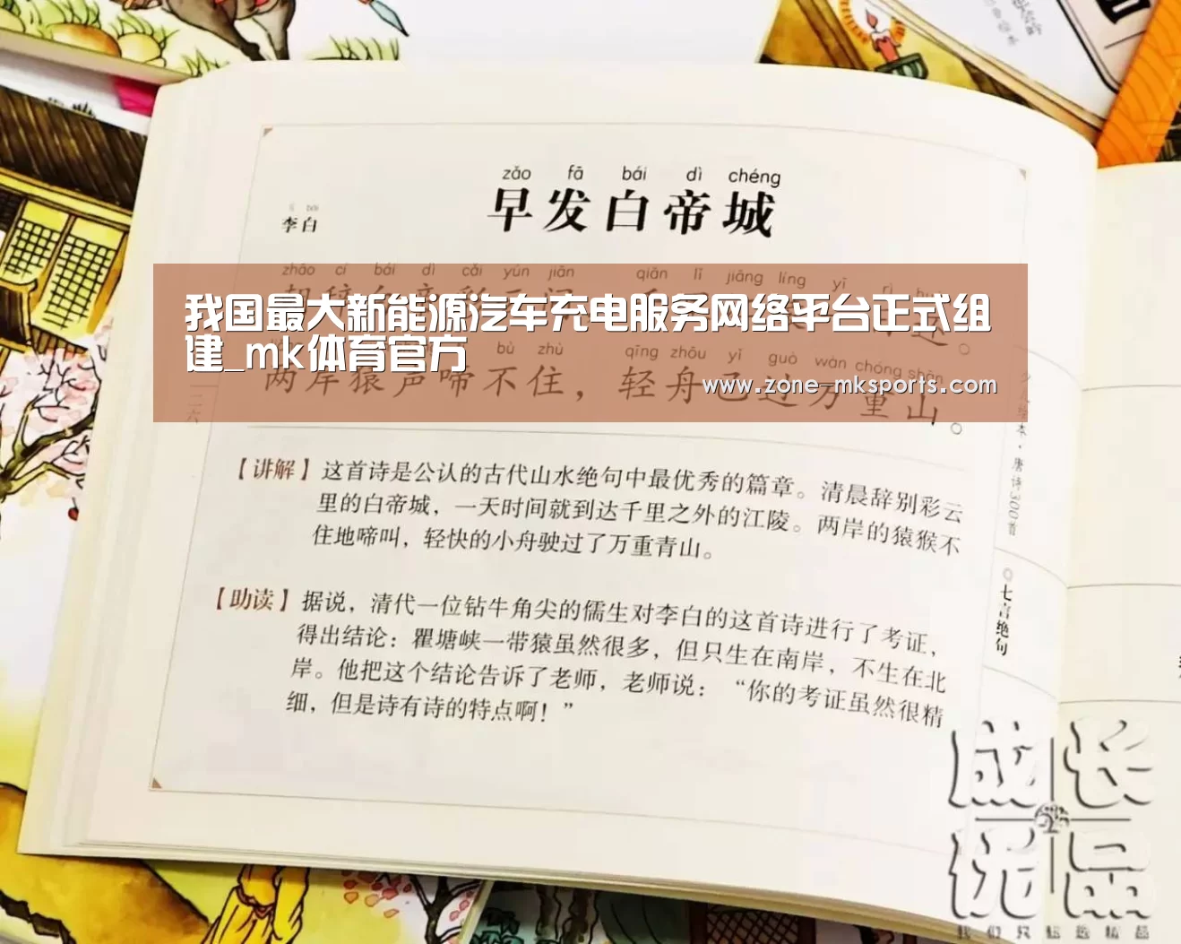 我国最大新能源汽车充电服务网络平台正式组建_mk体育官方(图2) mk体育