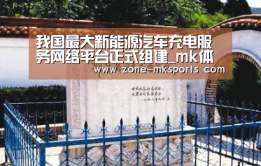 我国最大新能源汽车充电服务网络平台正式组建_mk体育官方(图3) mk体育