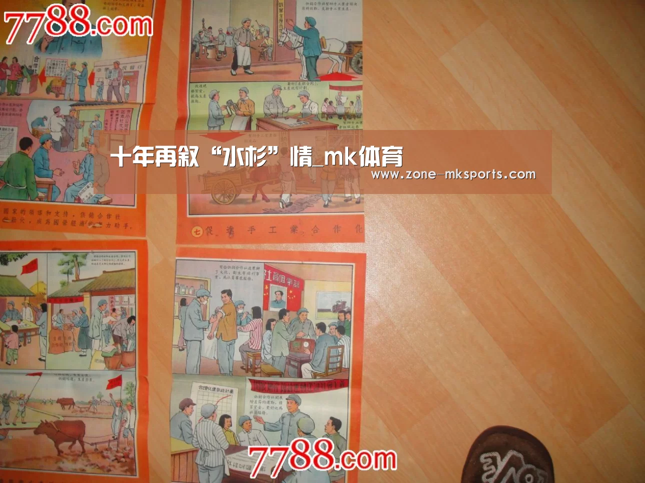 十年再叙“水杉”情_mk体育(图3) mk体育官方