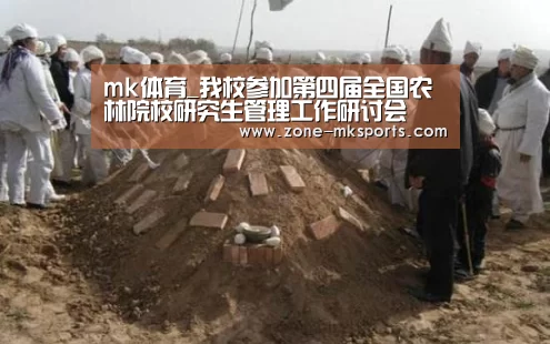 mk体育官方