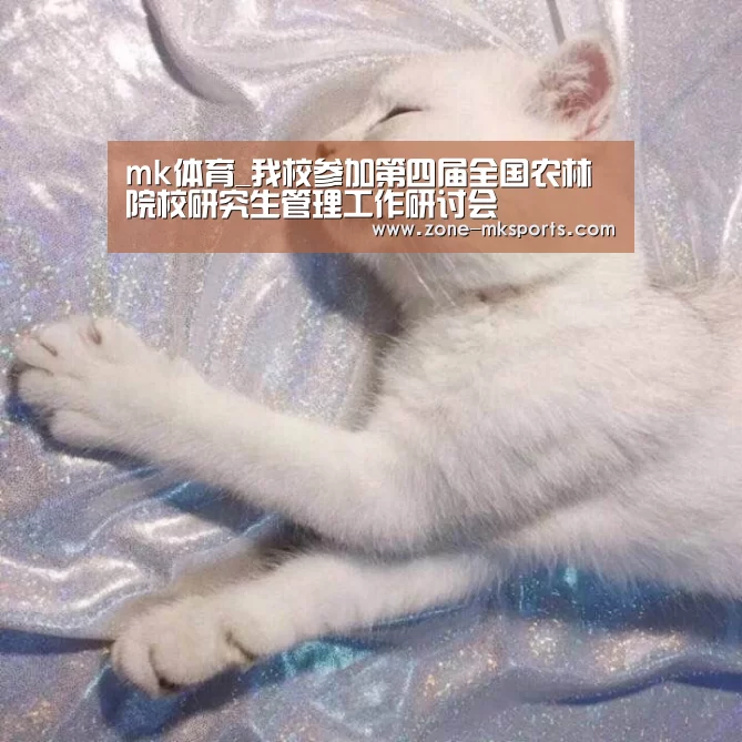 mk体育官方