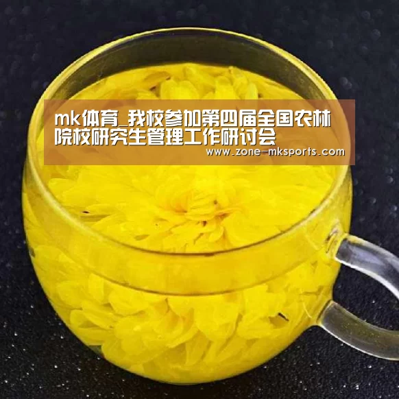 mk体育官方