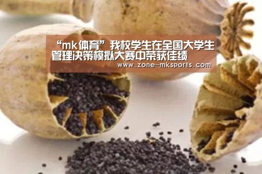 “mk体育”我校学生在全国大学生管理决策模拟大赛中荣获佳绩(图2) mk体育官方