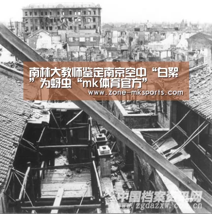 mk体育