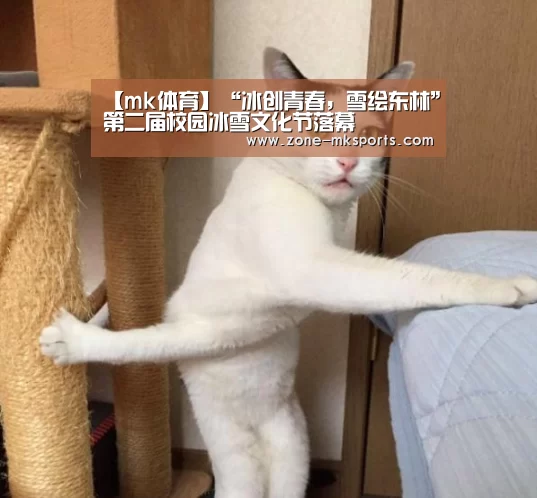【mk体育】“冰创青春,雪绘东林”第二届校园冰雪文化节落幕(图1) mk体育官方
