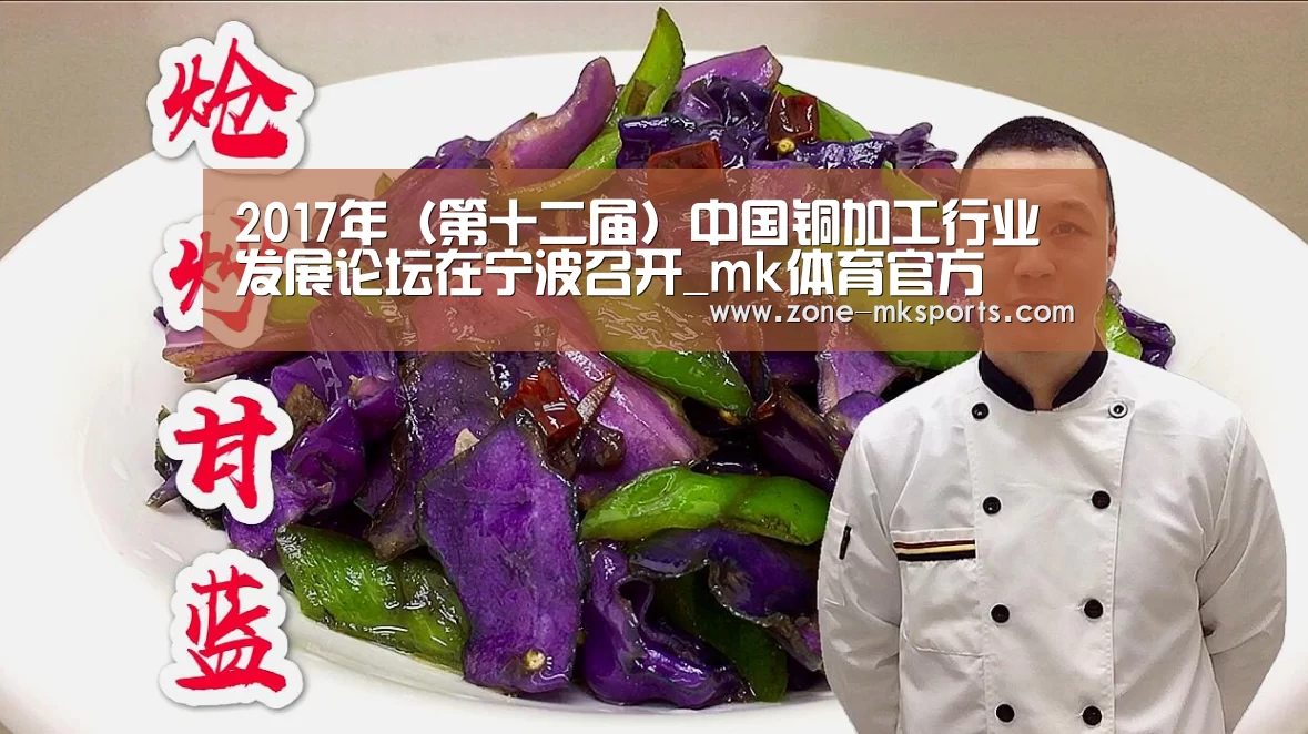 2017年(第十二届)中国铜加工行业发展论坛在宁波召开_mk体育官方(图1) mk体育官方