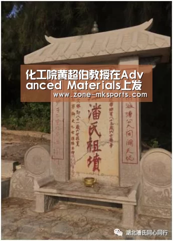 化工院黄超伯教授在Advanced Materials上发表综述文章-mk体育(图3) mk体育