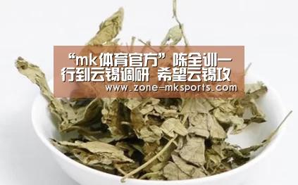 mk体育