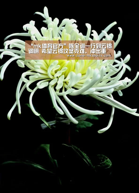 mk体育官方