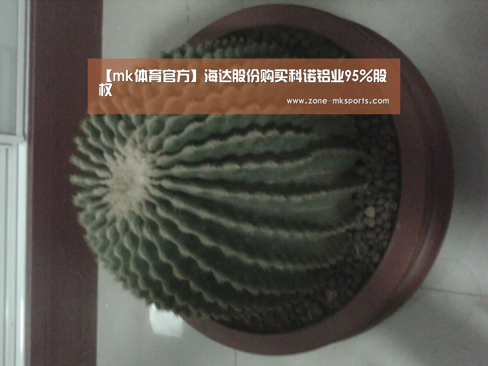 mk体育官方