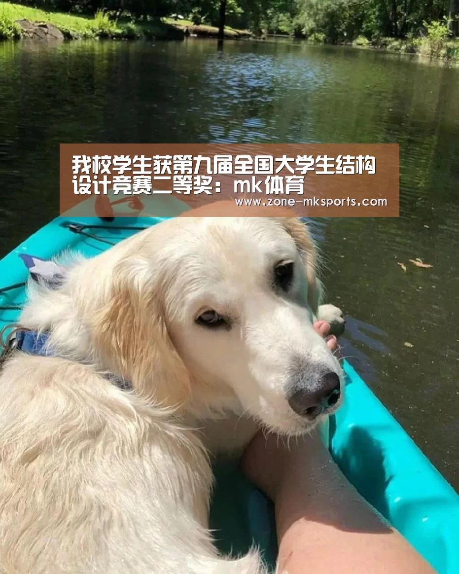 mk体育官方